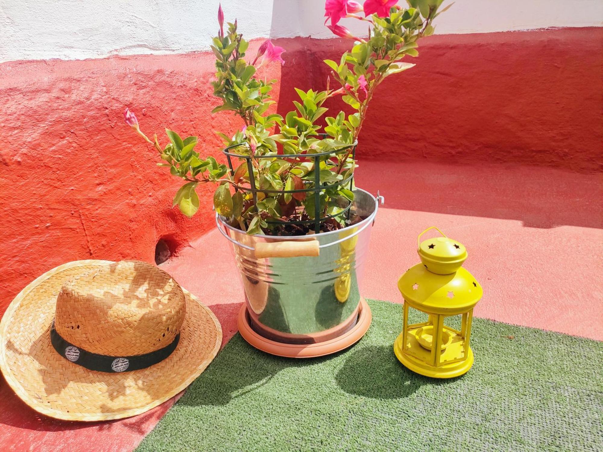 Casa El Escano Granadilla De Abona Eksteriør bilde