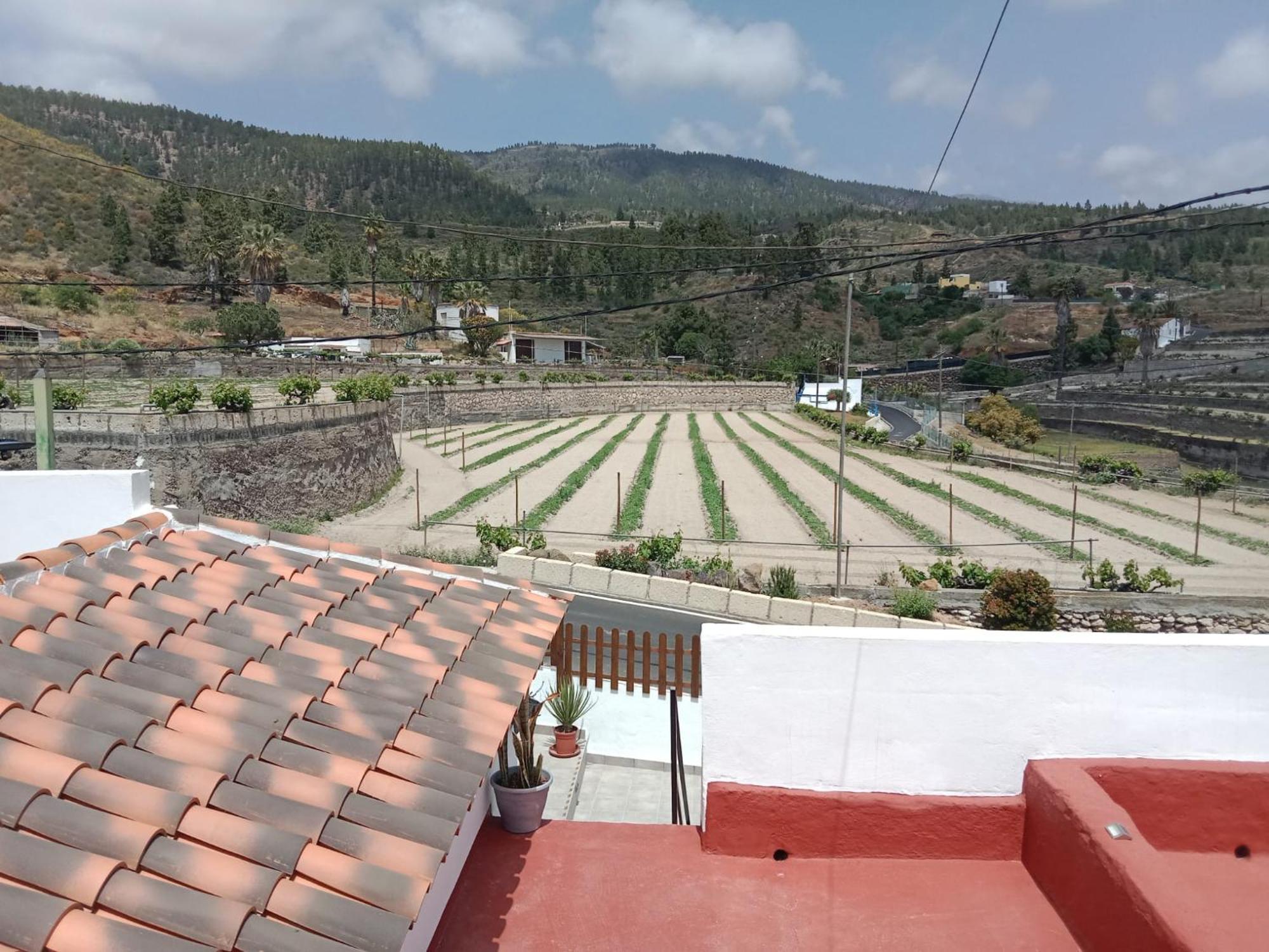 Casa El Escano Granadilla De Abona Eksteriør bilde